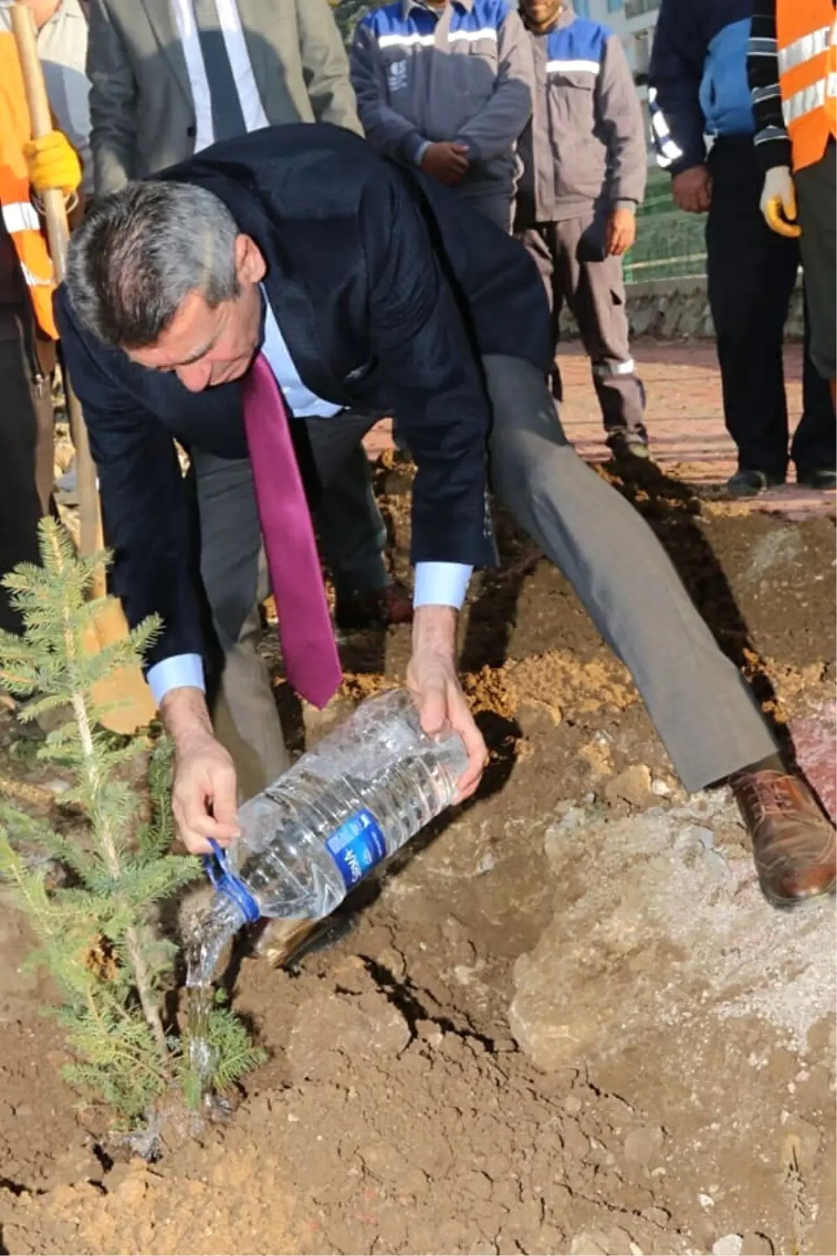 Mezarlıklarda Ağaçlandırma Çalışması