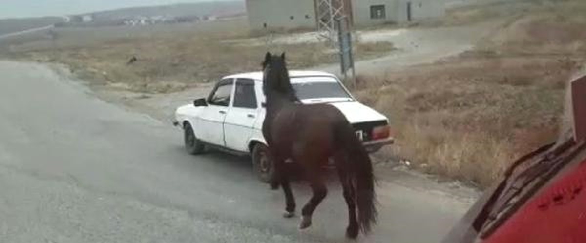 Atı Otomobilinin Arkasına Bağlayıp Trafiğe Çıktı