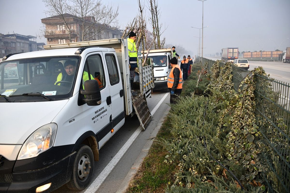 Bursa-Ankara Karayolu 650 Bitkiyle Ağaçlandırıldı