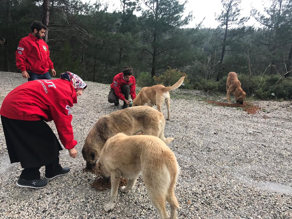 CBÜ Akut Sokak Hayvanlarını Unutmadı