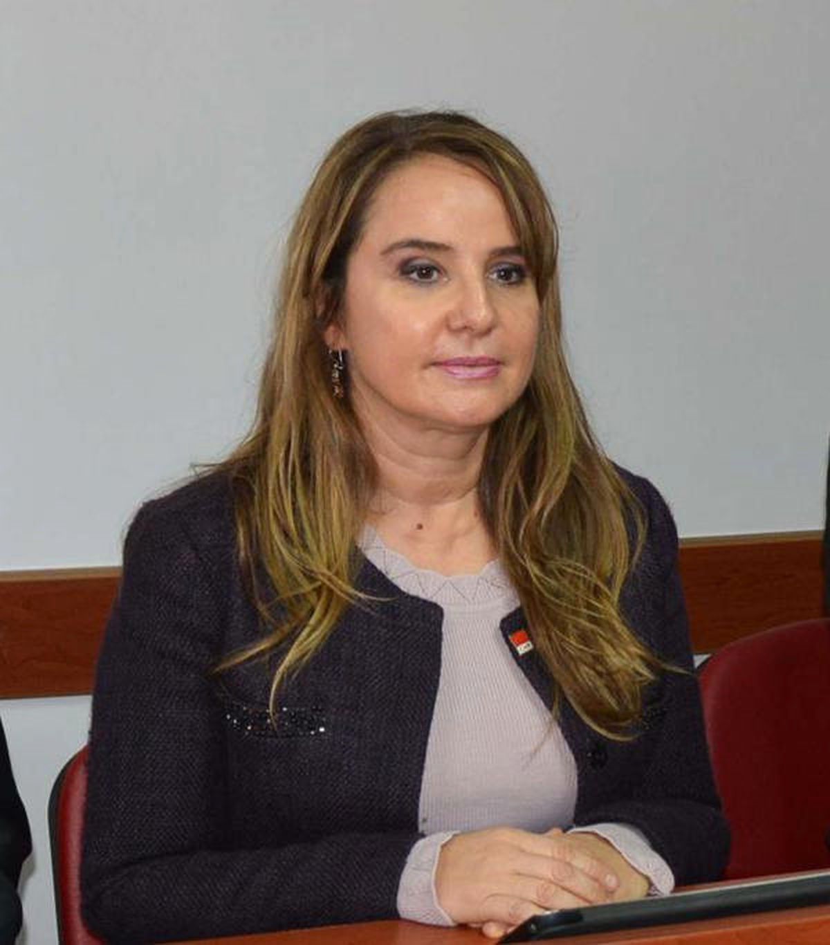 CHP\'li Cankurtaran\'dan Rıdvan Dilmen ve Bahçeli\'ye Eleştiri