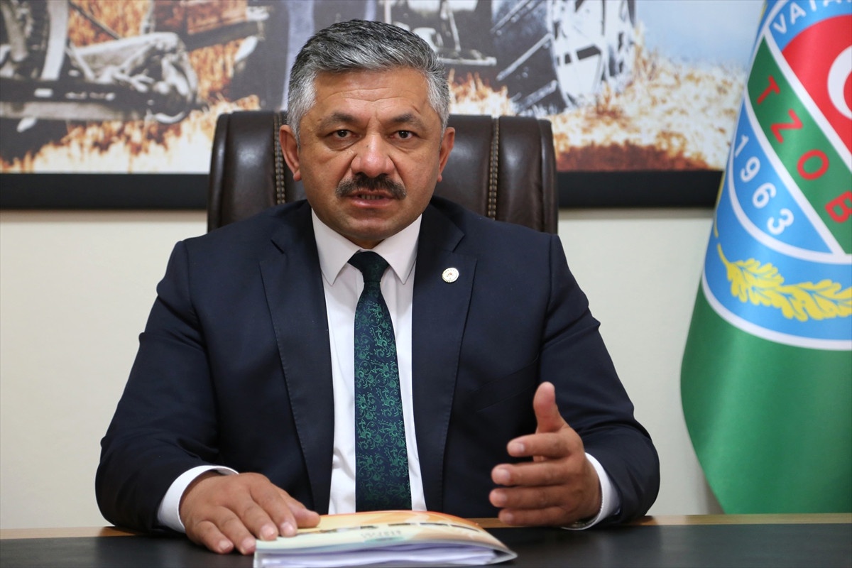Fındık Üreticisine "Gelir Desteği" Uyarısı