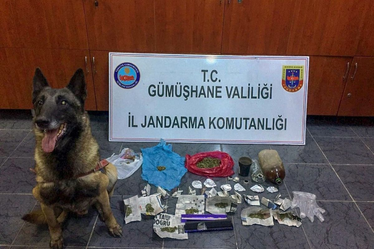 Gümüşhane\'de Satışa Hazır Halde Uyuşturucu Ele Geçirildi