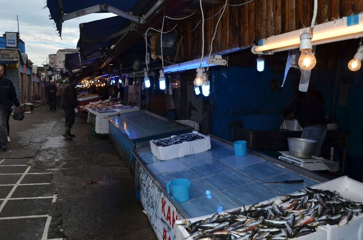 Hamsi\'nin Ateşi Düşmüyor