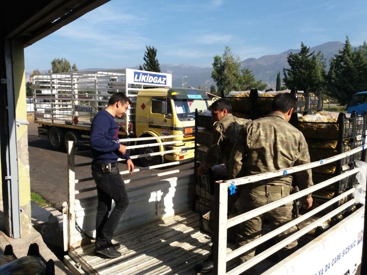 İdlib\'deki Türk Askerlerine Bir Kamyon Anamur Muzu