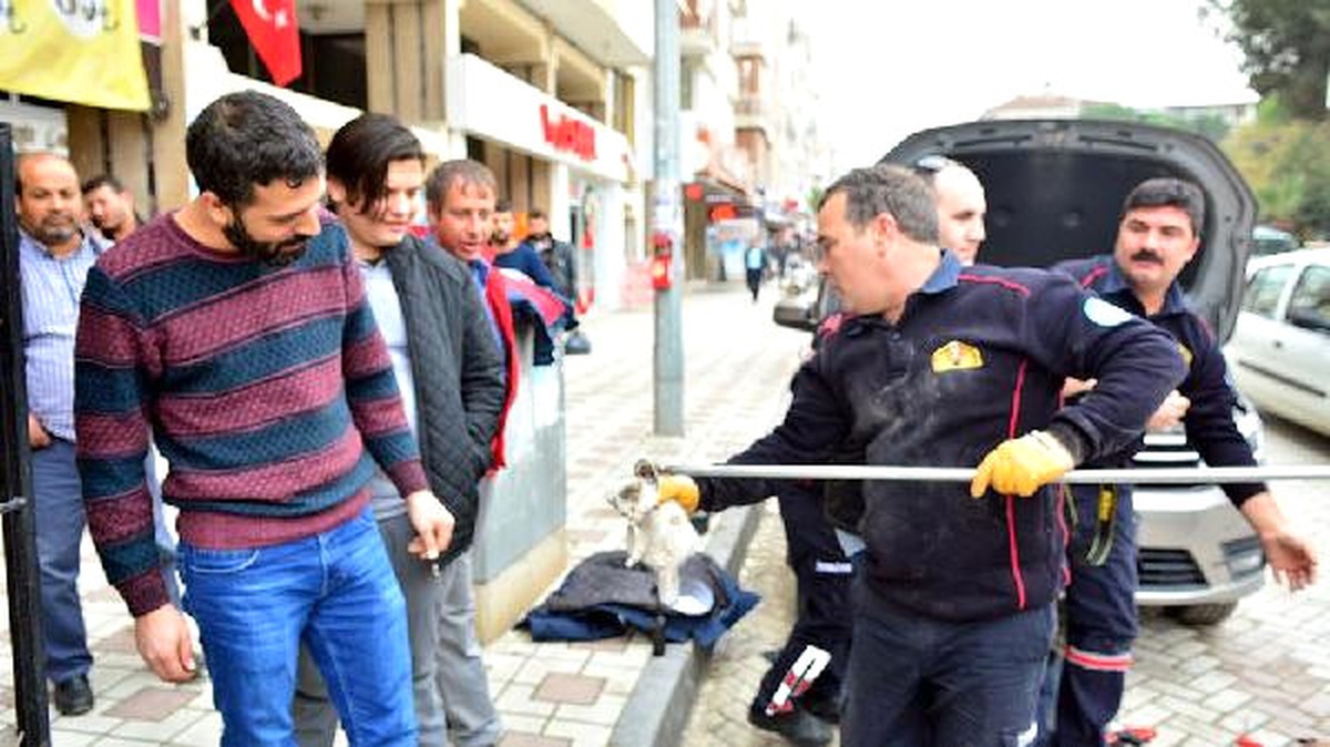 İtfaiye, Otomobilin Motoruna Sıkışan Kediyi Kurtardı
