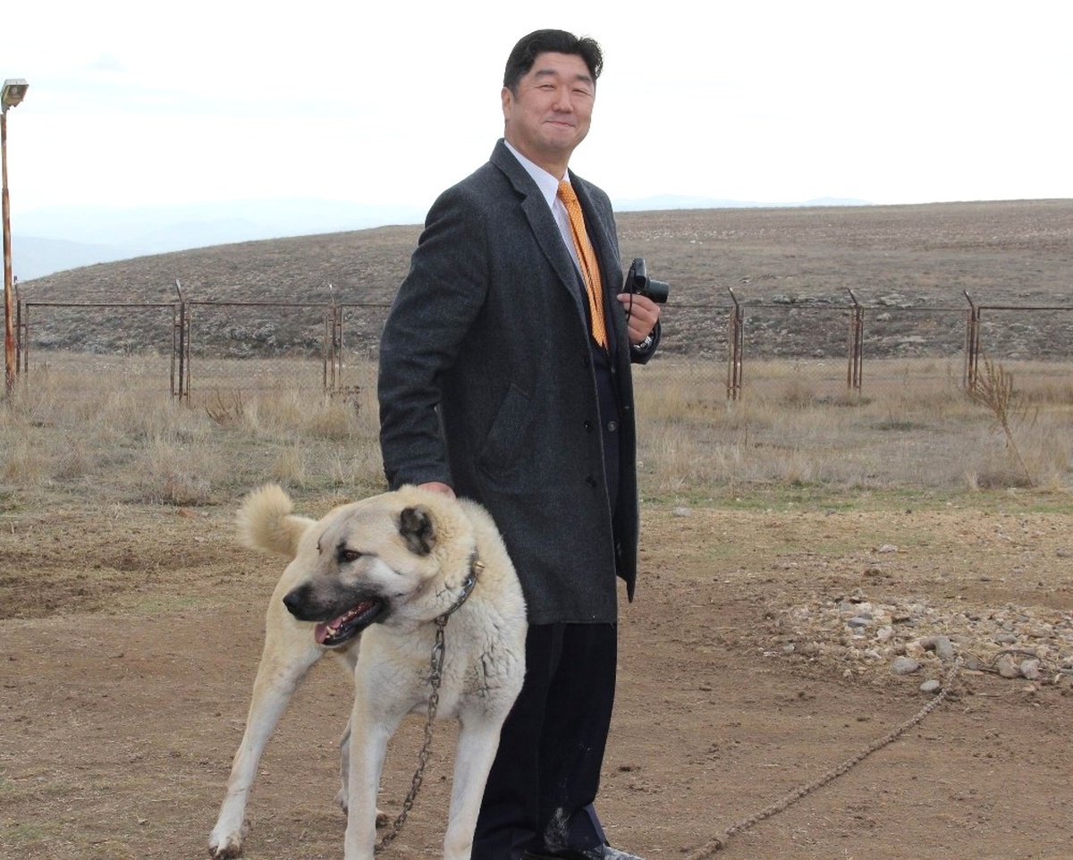 Japon Patronun Kangal Köpeği Sevgisi