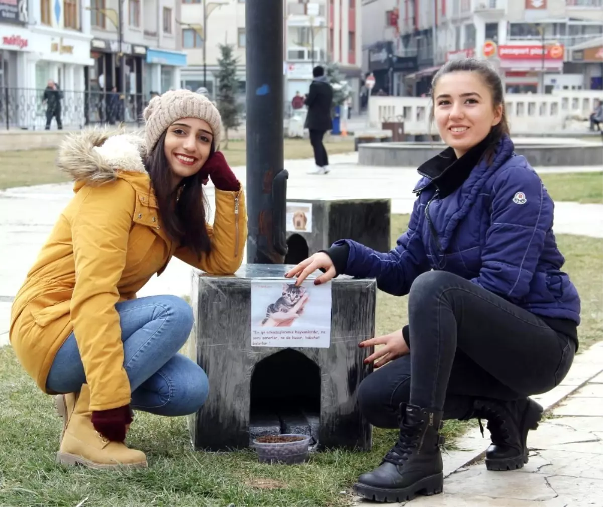 Öğrencilerden Harçlıklarıyla Sokak Hayvanlarına Sıcak Yuva