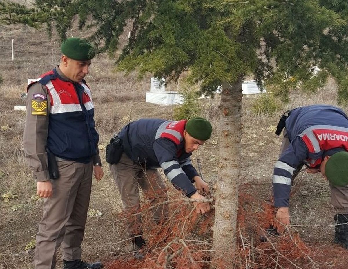 Sungurlu Huzur Operasyonu