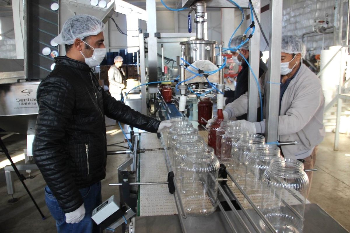 Tkdk\'dan Destek Aldı, Onlarca Gence İş Alanı Oluşturdu