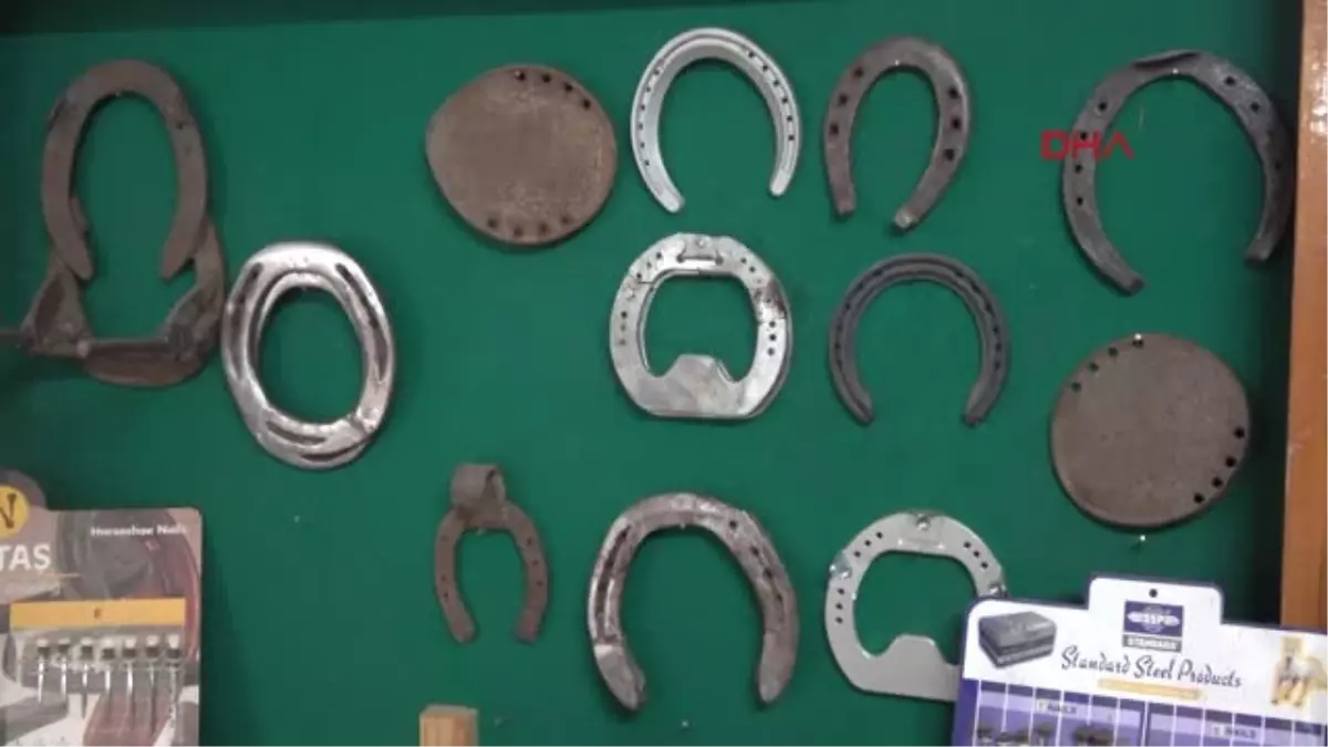 1-Üniversiteler 10 Yıldan Bu Yana Nalbant Yetiştirmiyor