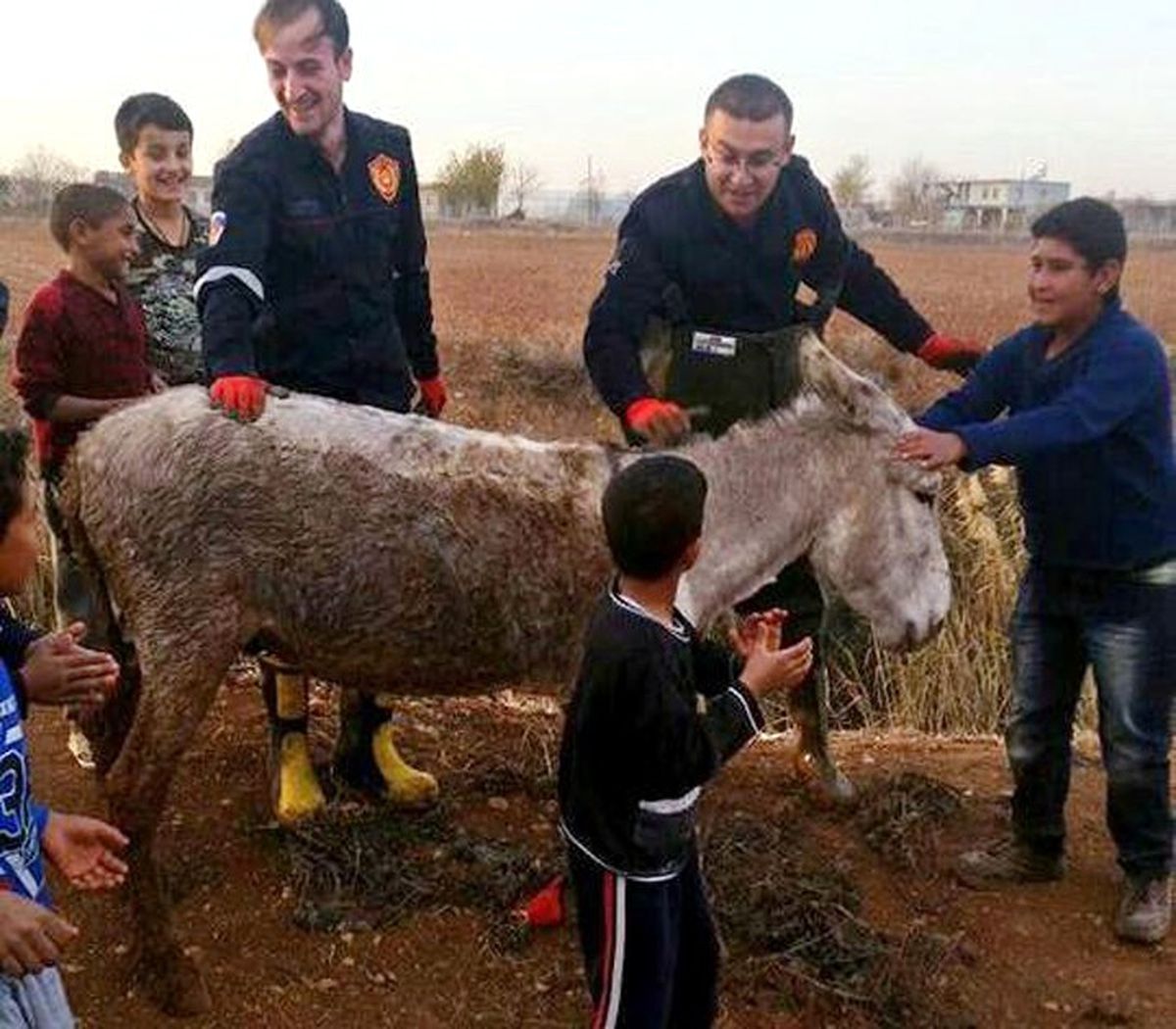 Bataklığa Saplanan Eşek Kurtarıldı