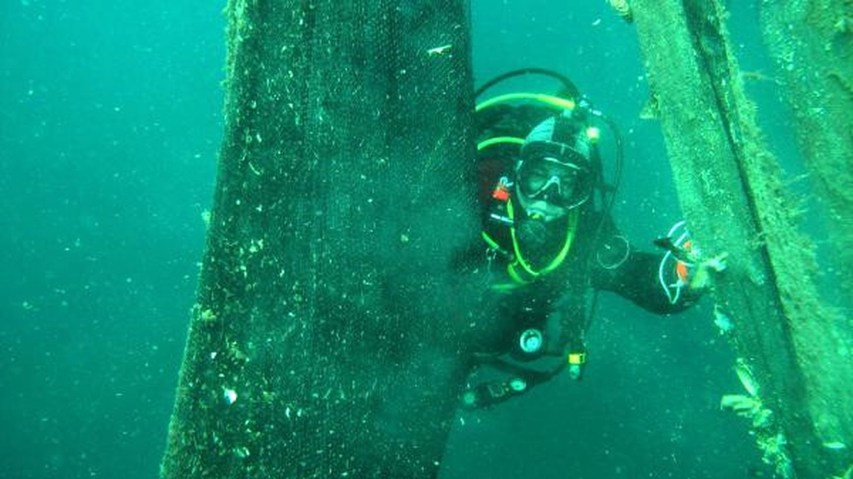 Çanakkale Boğazı Hayalet Ağlardan Temizlendi