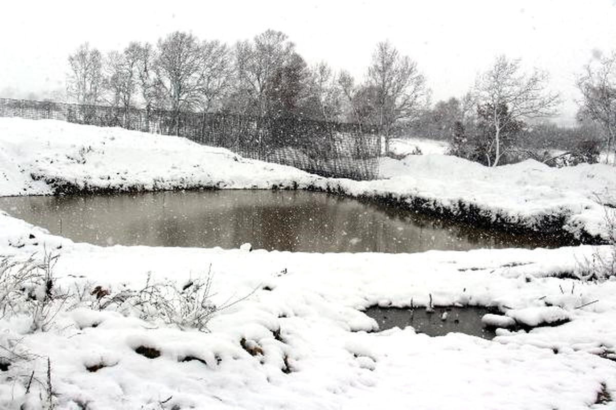 Edirne\'de Kar Başladı (2)