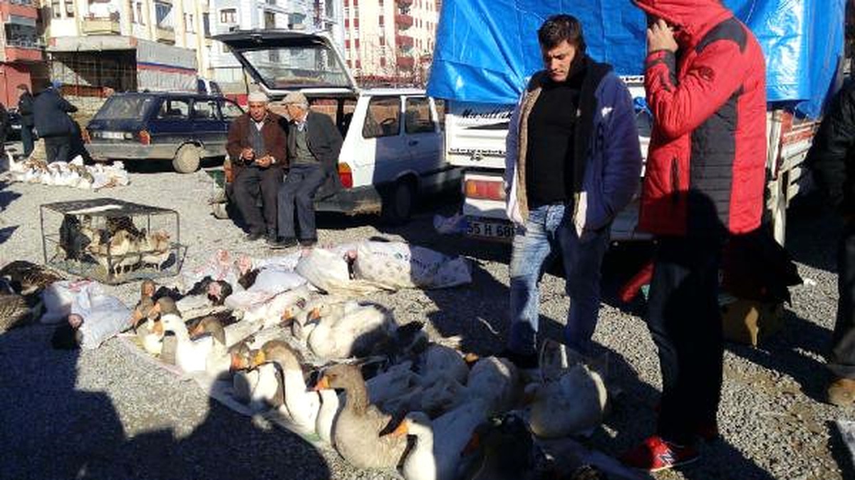 Halk Pazarında Kaz Satışına Büyük İlgi