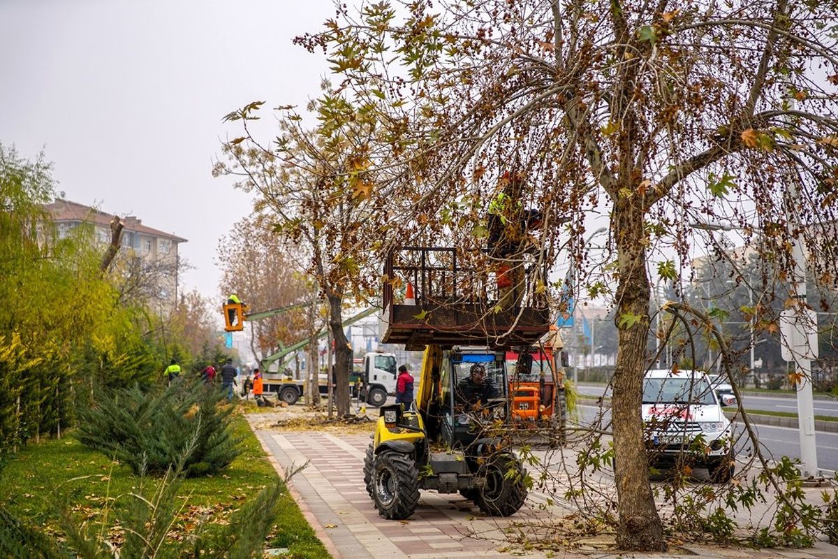 Malatya\'da Ağaç Budama Çalışmaları Devam Ediyor