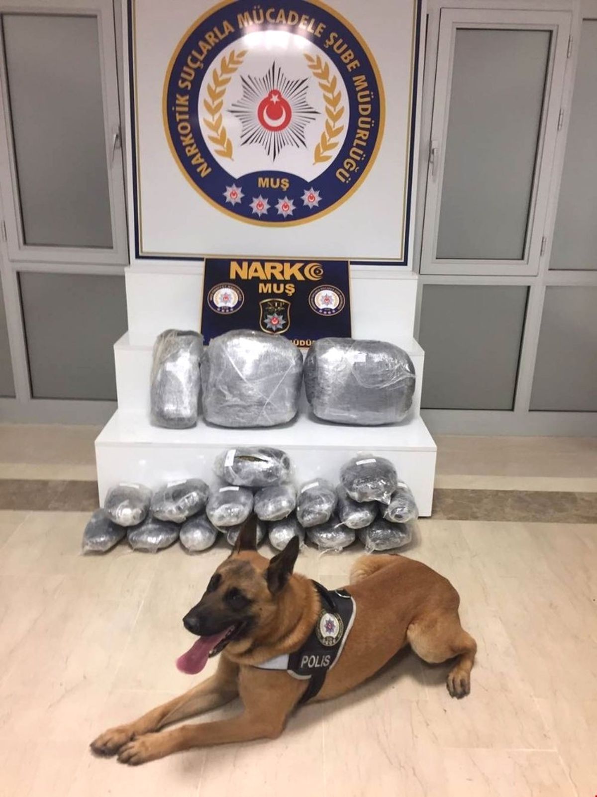 Muş\'ta 31 Kilo 600 Gram Esrar Ele Geçirildi