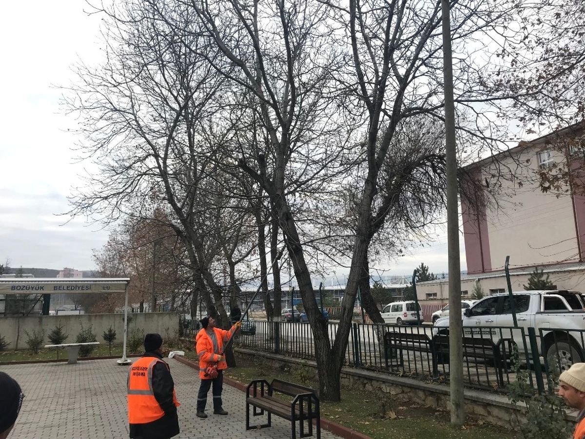 Parklarda Kış Hazırlıkları