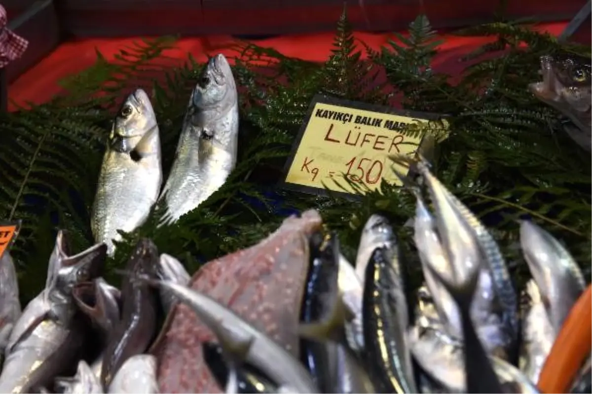 Prof. Dr. Ayaz\'dan Lüfer Uyarısı