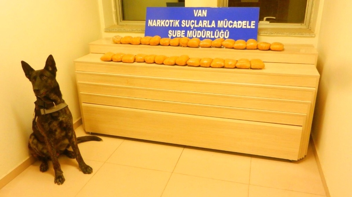 Uyuşturucuyu, Narkotik Arama Köpeği Buldu