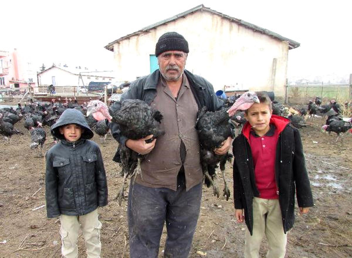 Yılbaşına Kadar Tüm Hindilerini Satmak İstiyor