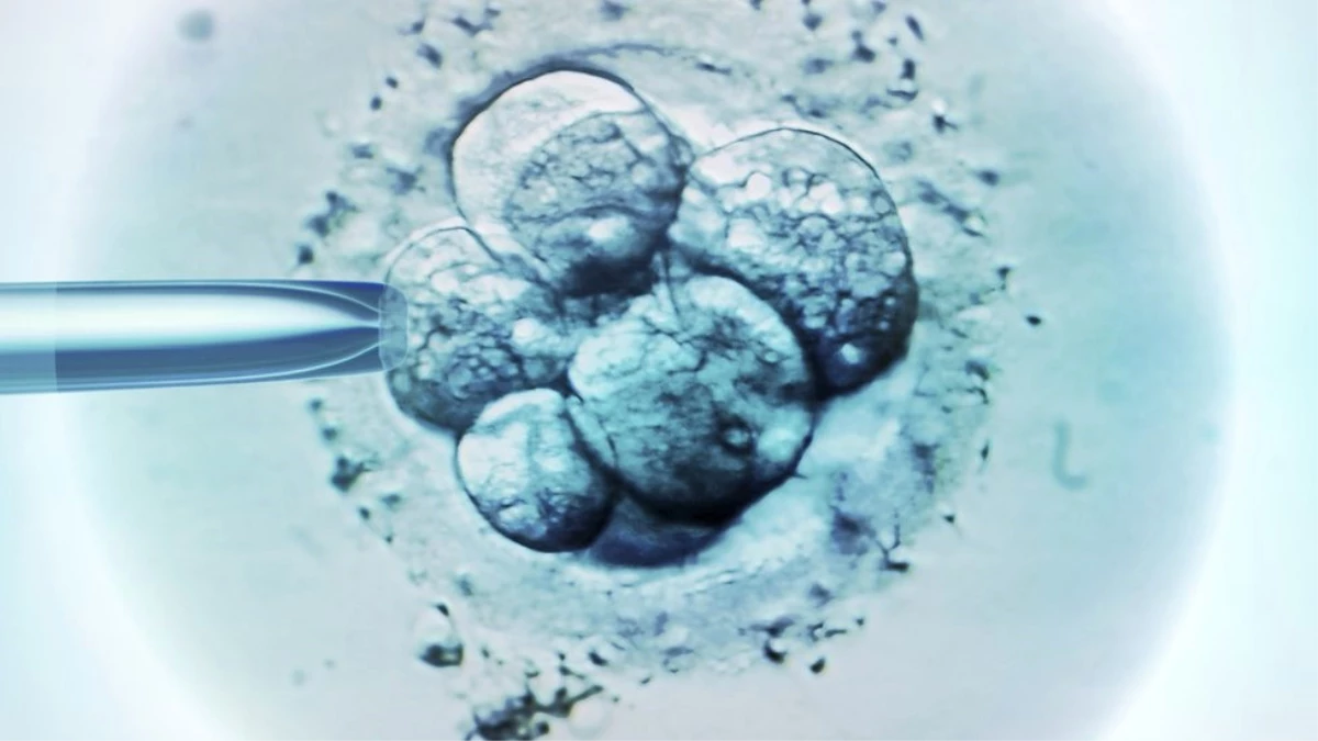 25 Yaşındaki Kadın 25 Yıl Önce Dondurulan Embriyoyla Çocuk Sahibi Oldu