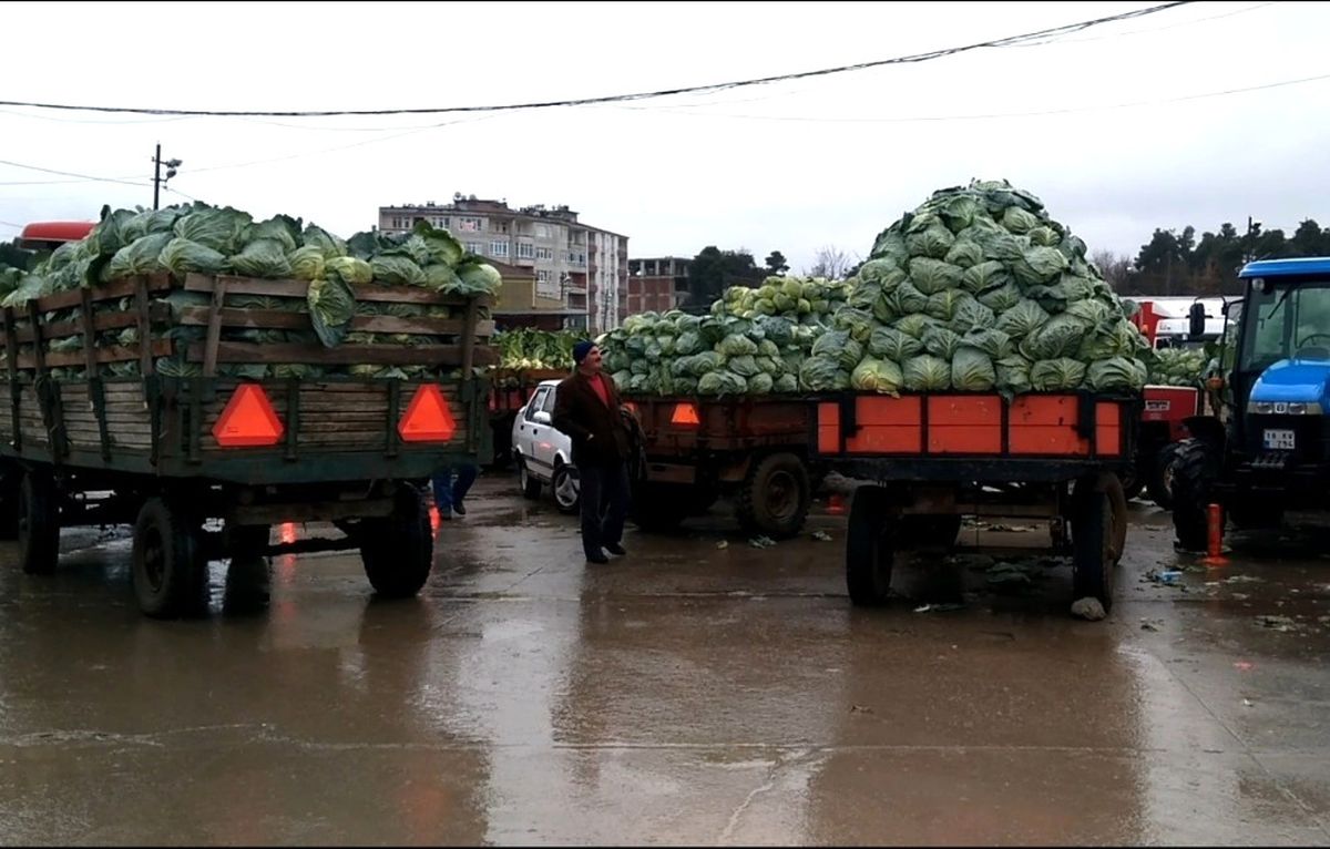 Kışlık Sebze Üreticileri Pazar Sorunu Yaşıyor