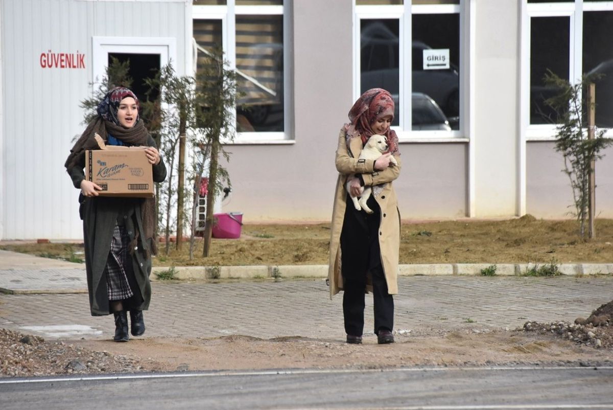 Öğrencilerden Sokak Hayvanlarına Duyarlı Davranış