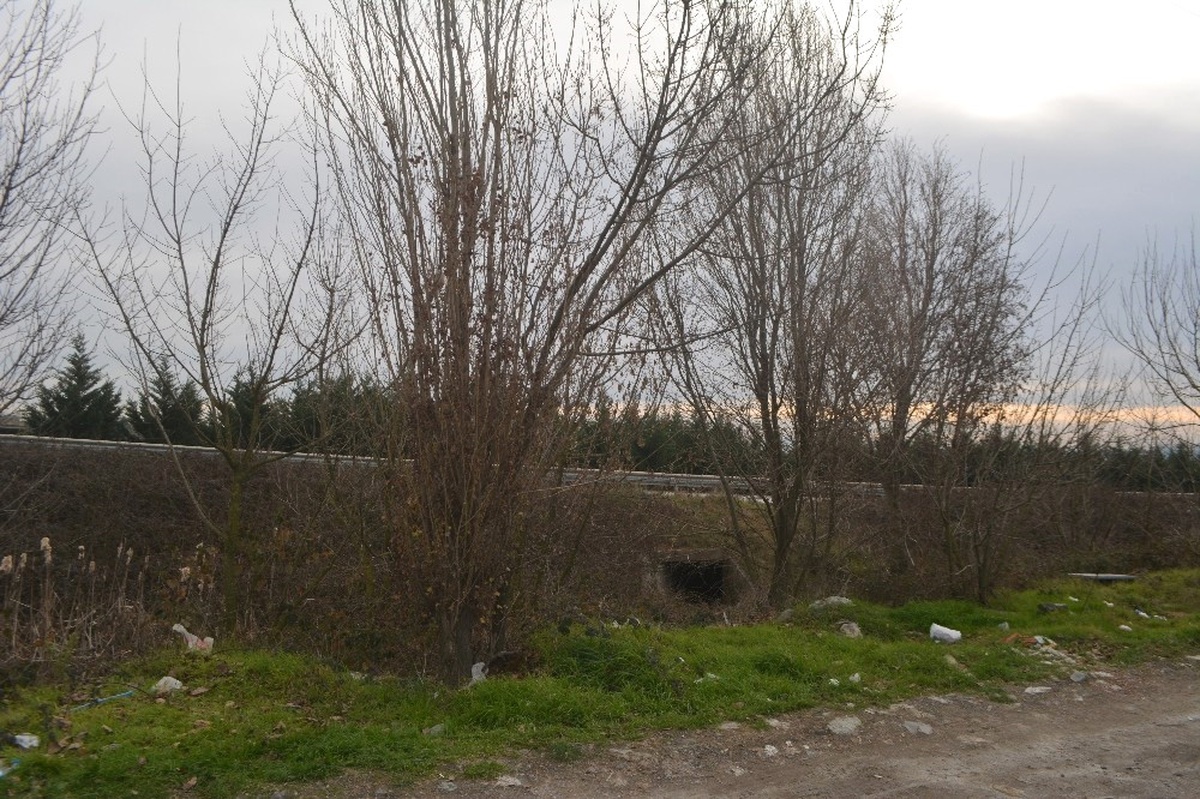 Öldürdüğü Kadınla 900 Kilometre Yolculuk Yapan Zanlı Daha Önce de Cinayet İşlemiş
