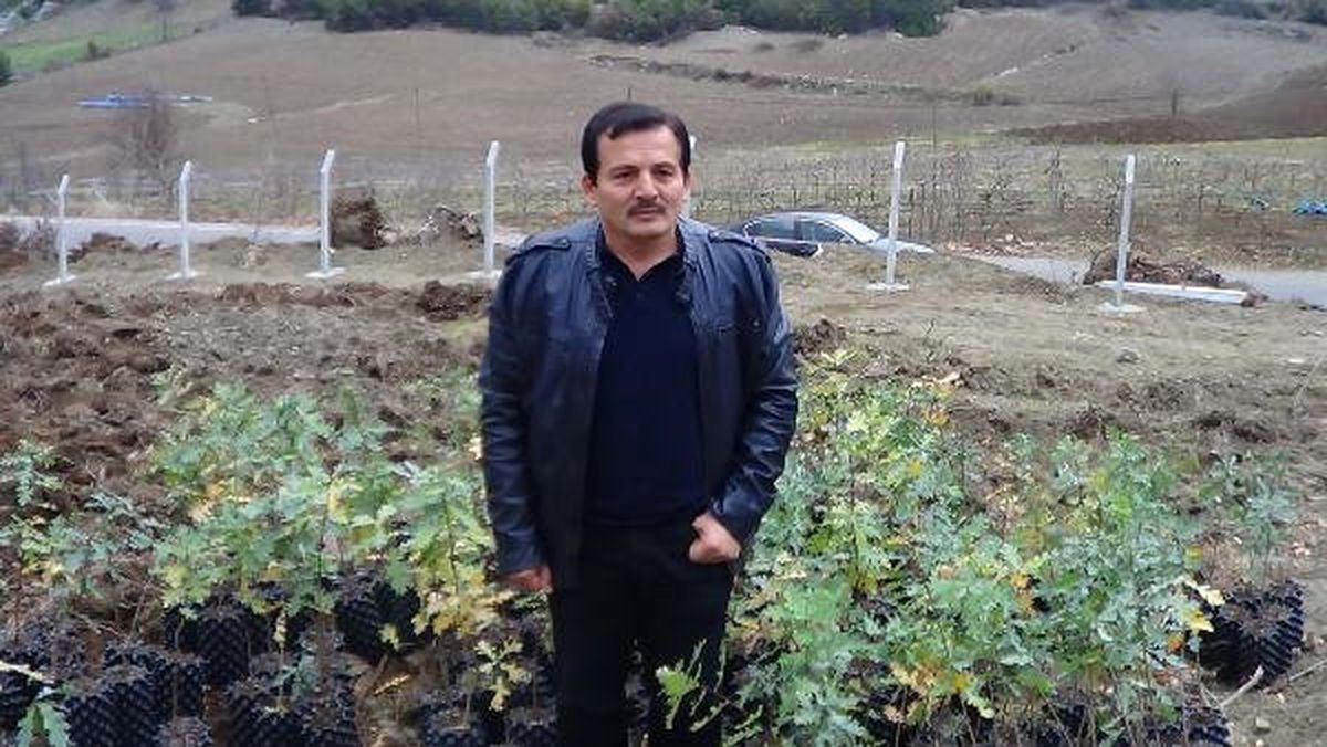 Ormandan Yıllık 600 Bin Euro Gelir Elde Edilecek