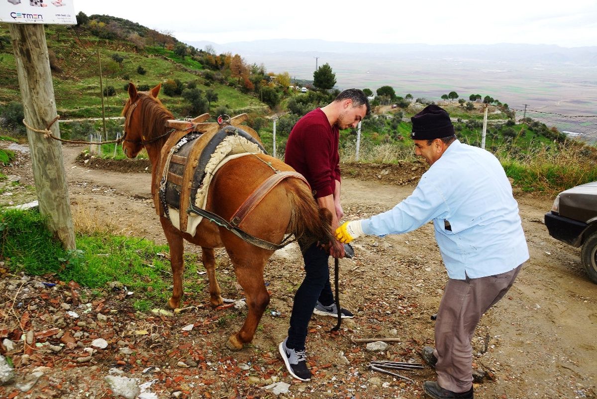 Randevu ile Nal Çakıyor
