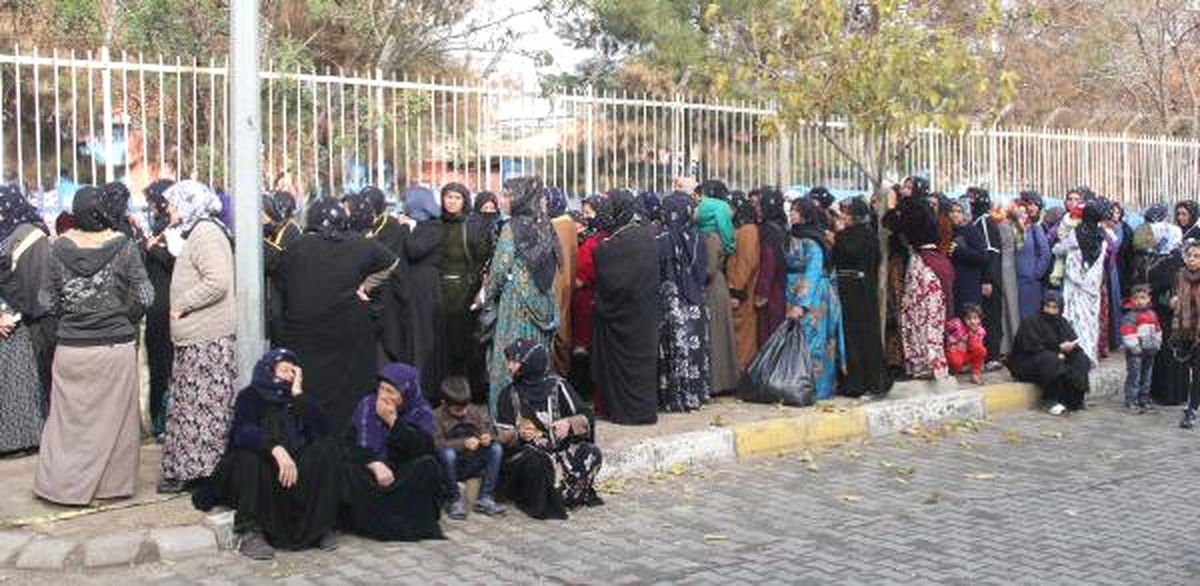 Şanlıurfa\'da Kömür Kuyruğu