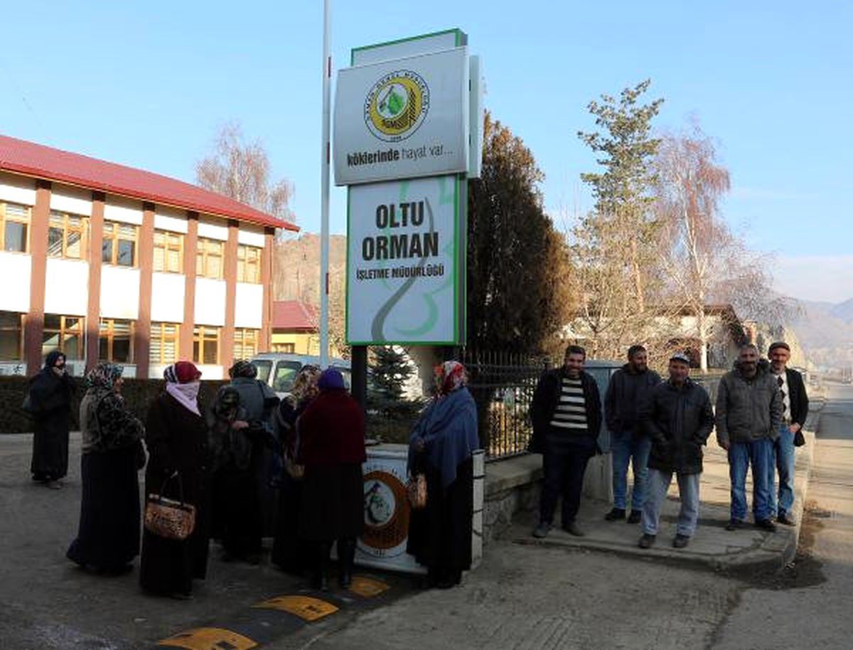 Sokak Mesaisi