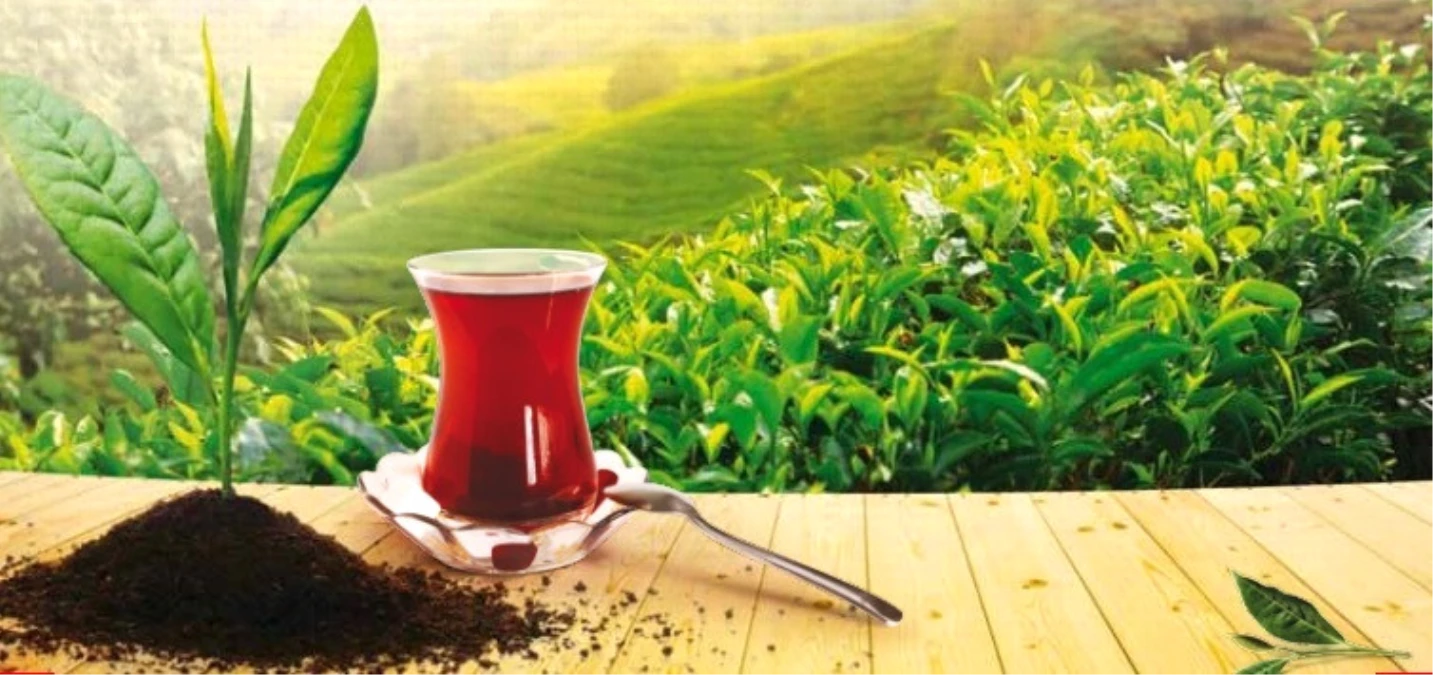 Türk Çayı İhracatı Kasaya 23,6 Milyon Dolar Kazandırdı