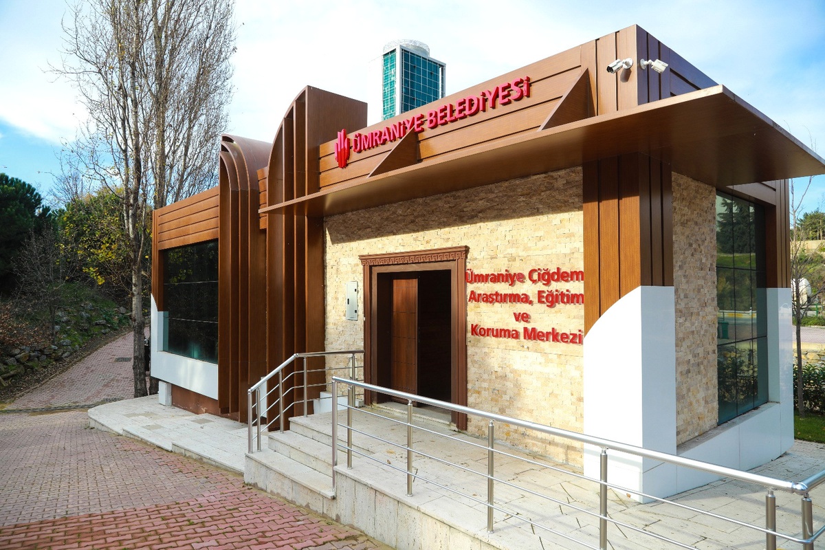 Ümraniye\'nin Endemik Bitkisi Ümraniye Çiğdemi Gün Yüzüne Çıkıyor
