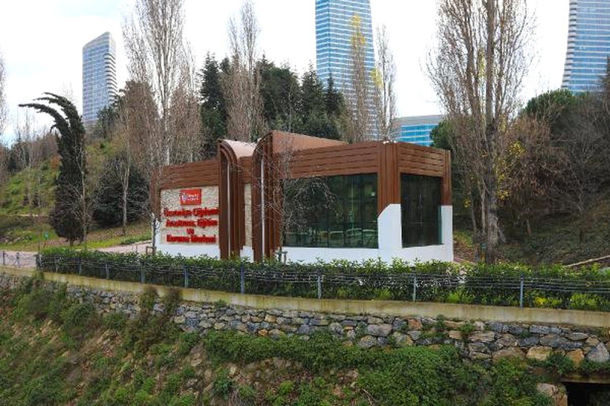 Ümraniye\'nin Endemik Bitkisi \'Ümraniye Çiğdemi\' Gün Yüzüne Çıkıyor