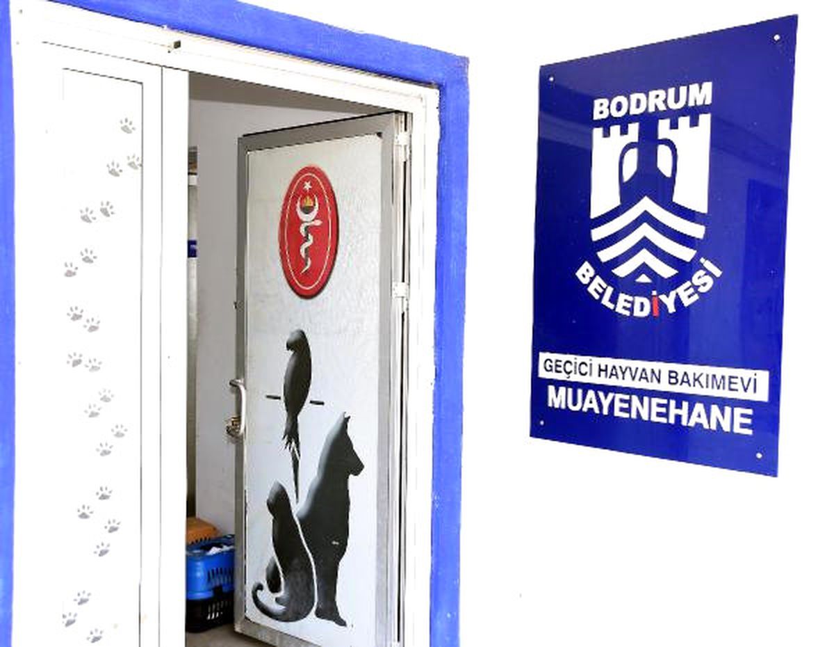 Veterinerlerin Odası Karganın Evi Oldu