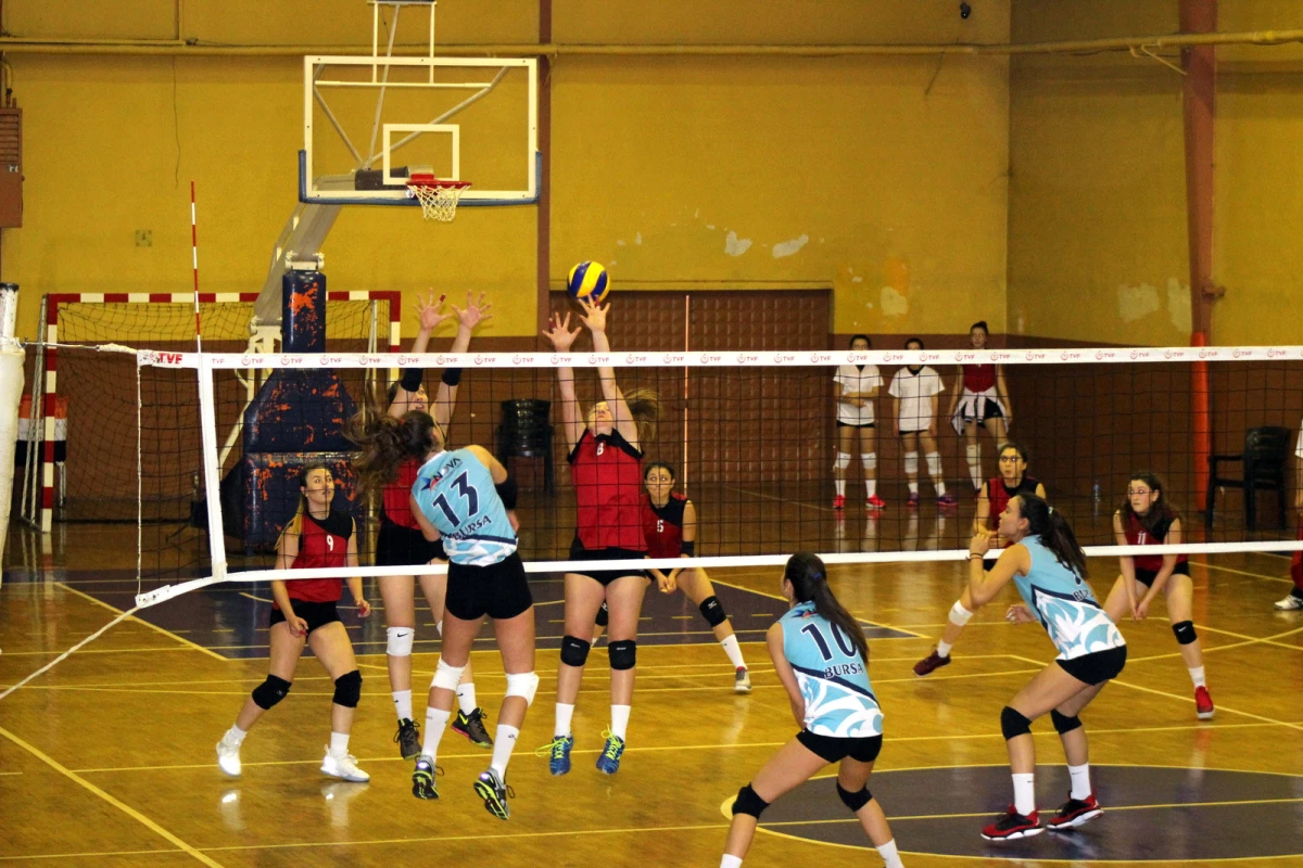 Voleybolda Şampiyon Nova…