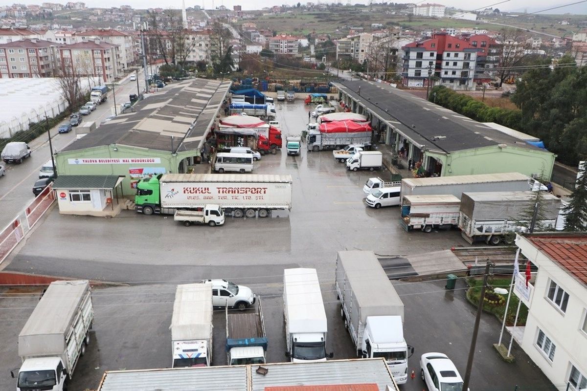 Yalova Halinde 31 Bin Ton Sebze ve Meyve Satıldı