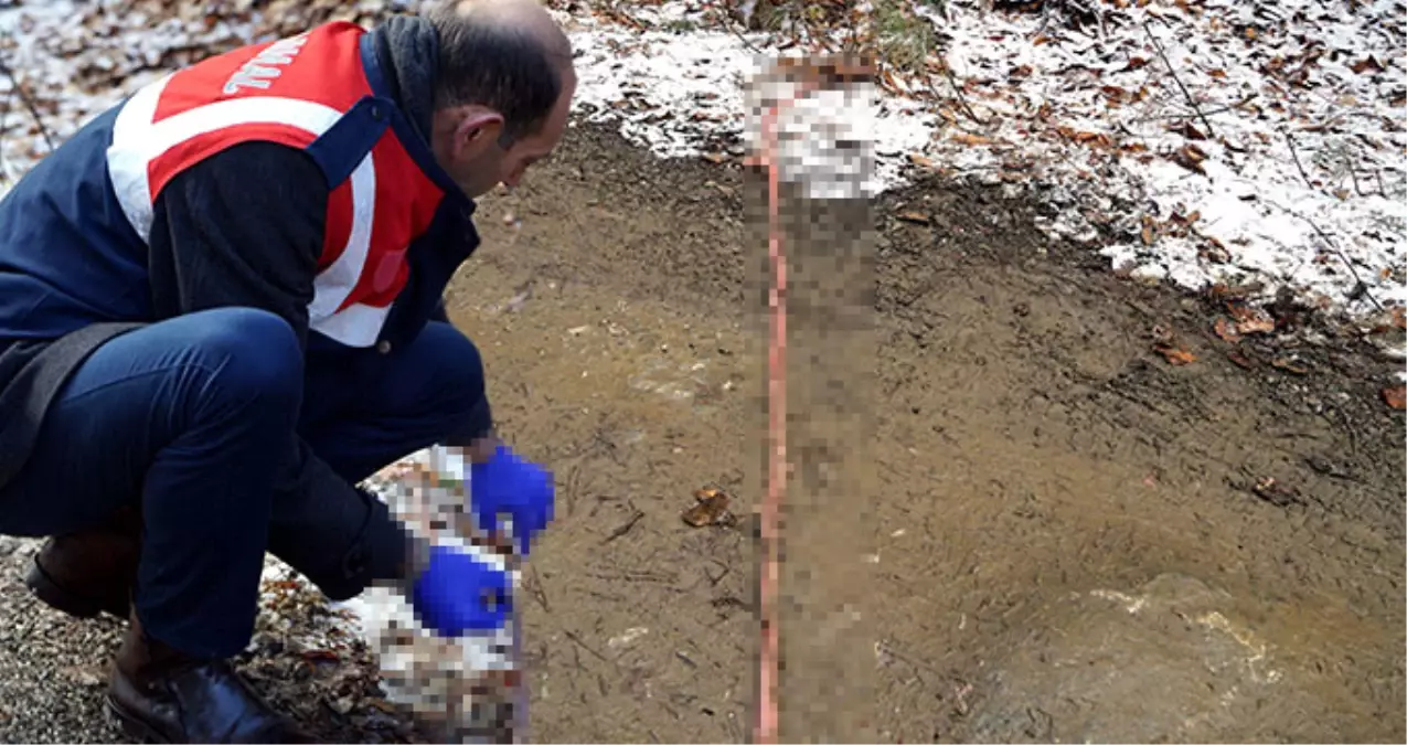 22 Gündür Kayıp Olan Aileye Ait Olabilecek Vücut Parçaları ve Kan İzleri Bulundu