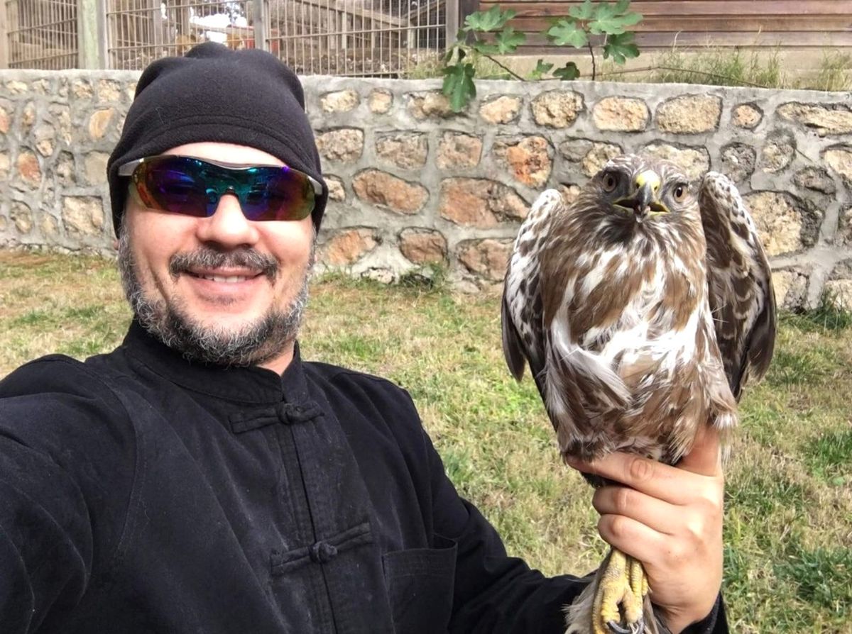 Aracın Çarpıp Kaçtığı Şahin Tedavi Altına Alındı