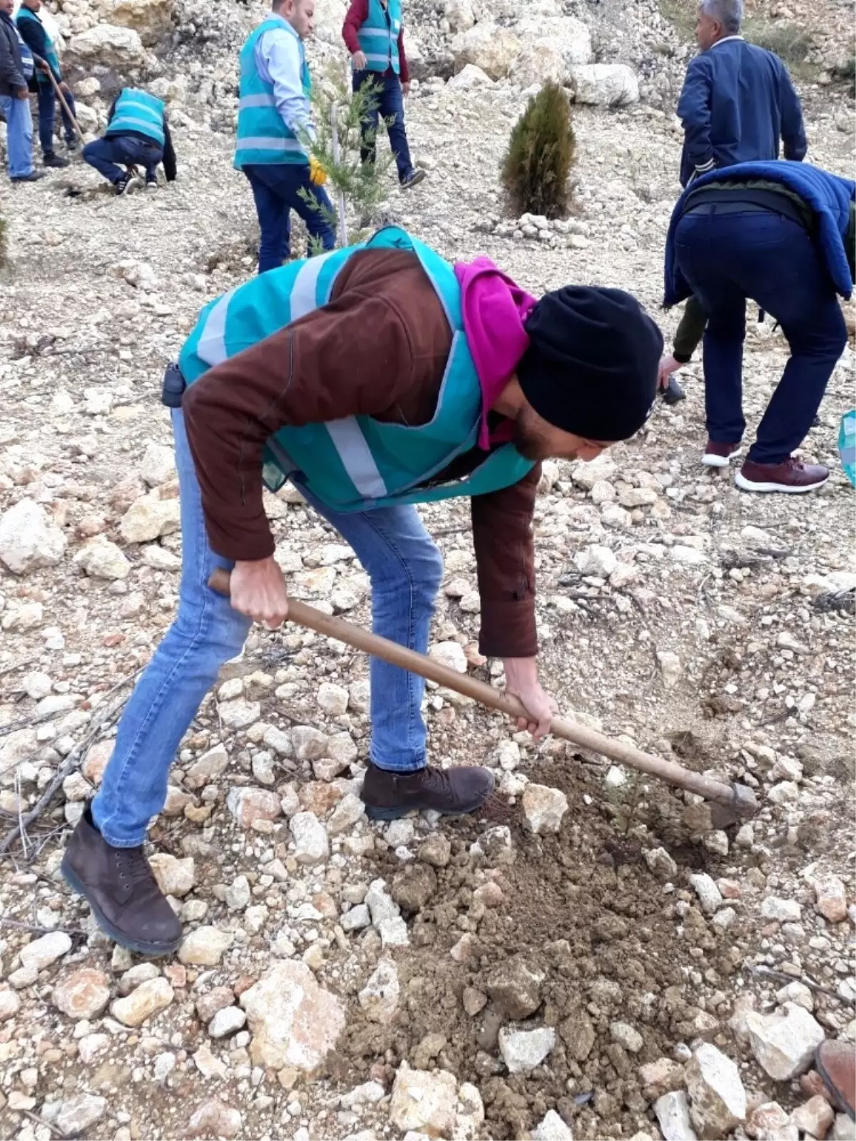 Denetimli Serbestlik Yükümlüleri Fidan Dikti