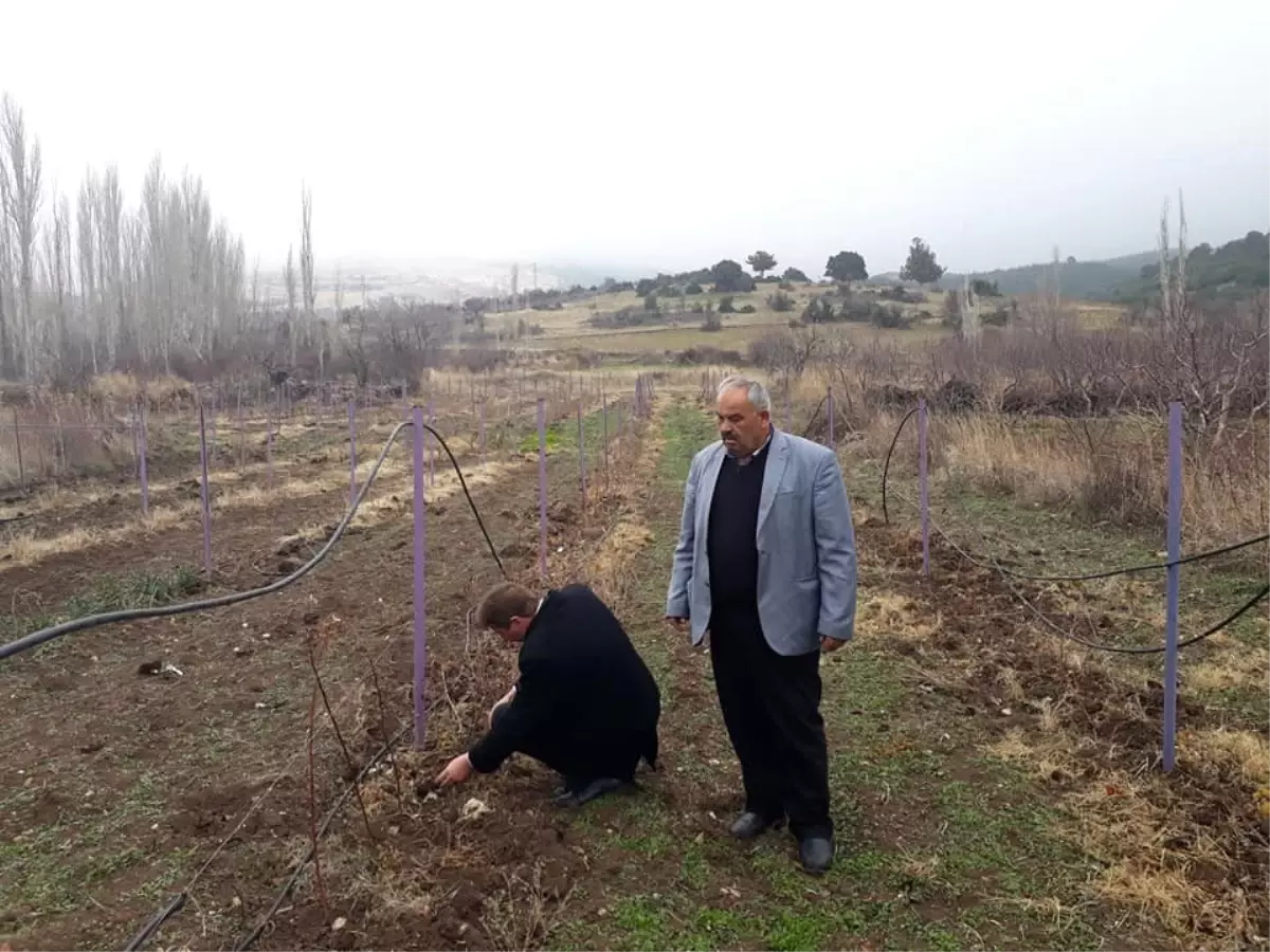 Eğirdir Köylerinde Alternatif Tarım