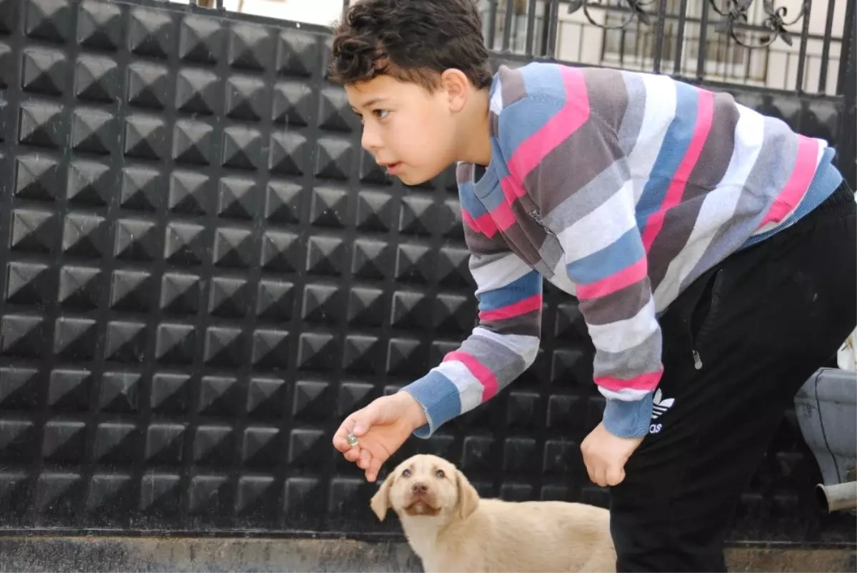 İnternetten Bıkan Çocuklar Doğal Yaşama Geri Döndü