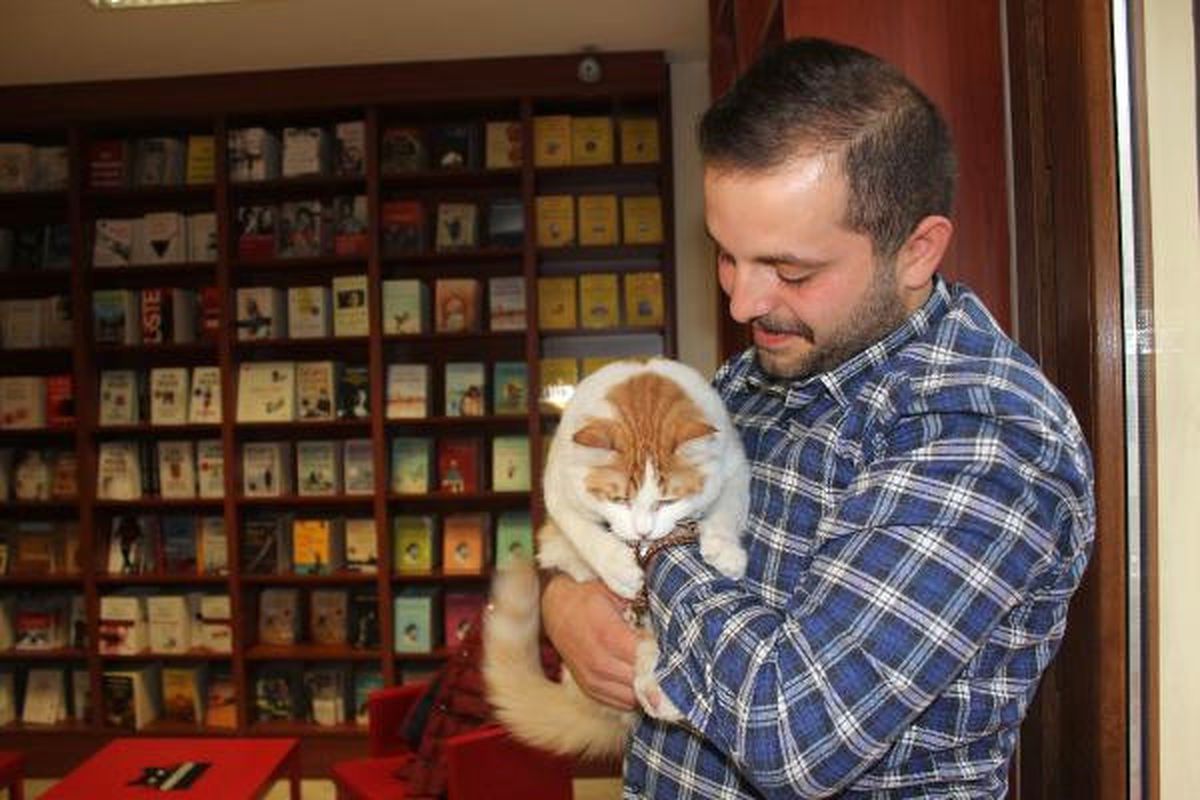 Uzman Çavuş Özkan, El Bab\'da Bulduğu Kedi "Barış"I İstanbul\'da İlk Kez Ziyaret Etti