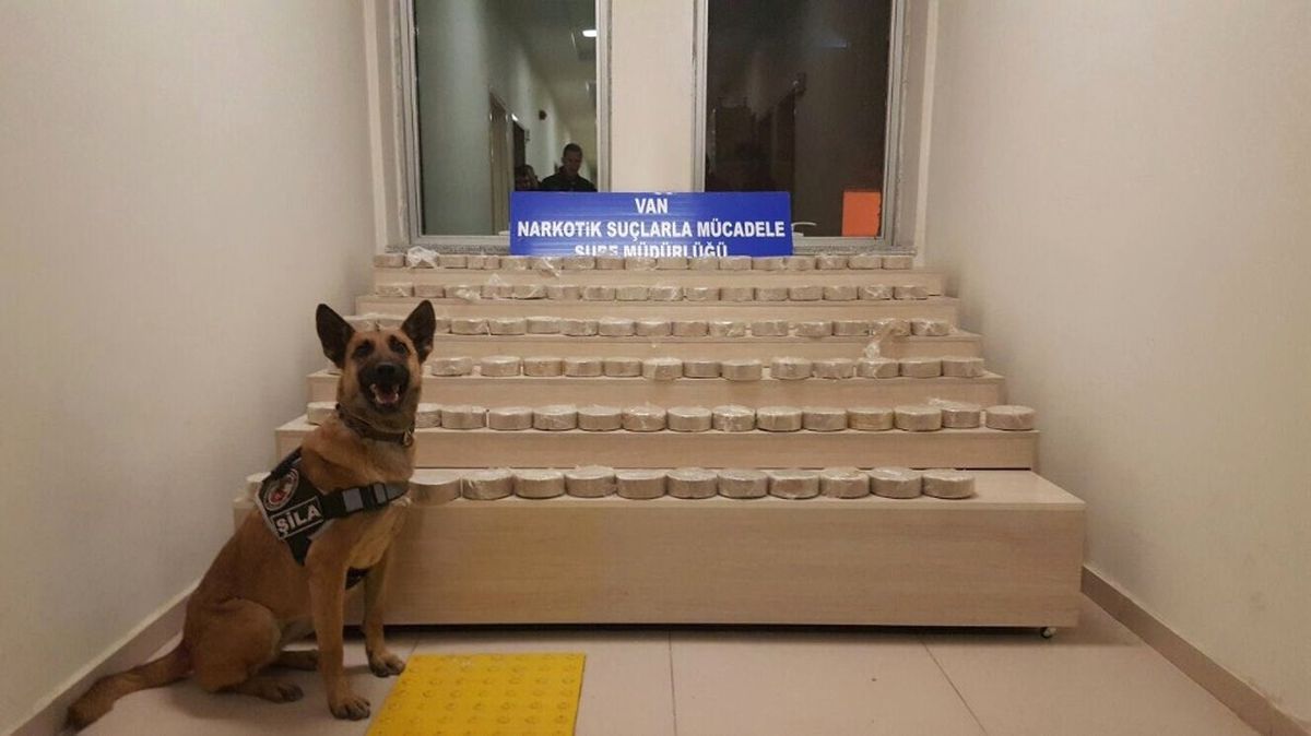 Van\'da 48 Kilo Eroin Ele Geçirildi