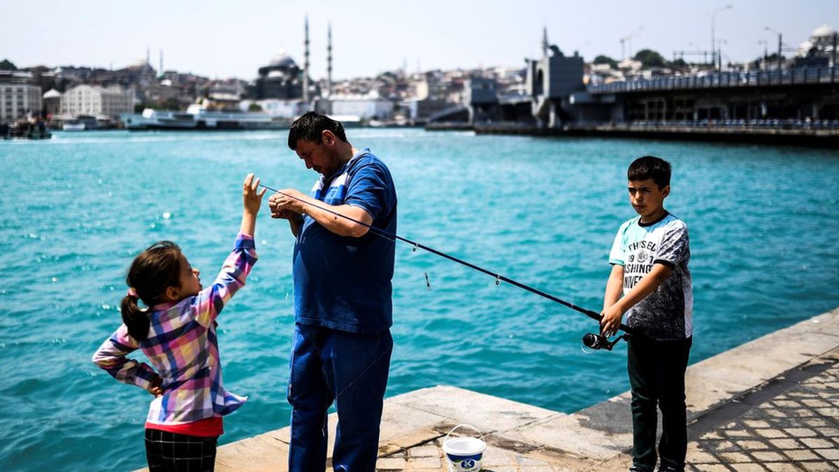 Haftada Bir Balık Yiyen Çocuklar Daha Zeki Oluyor