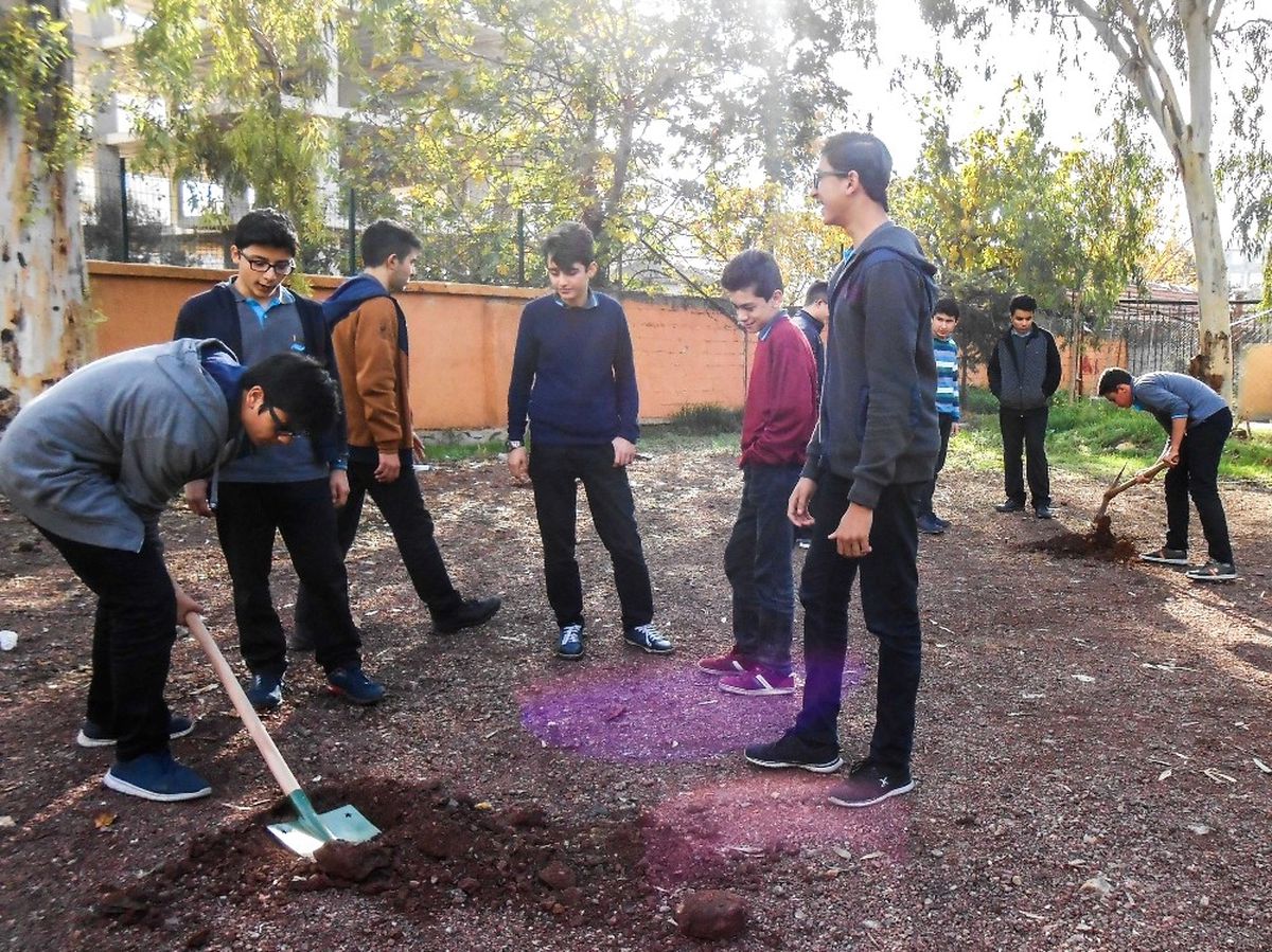Muratpaşa\'dan Okul Bahçelerine Ağaç