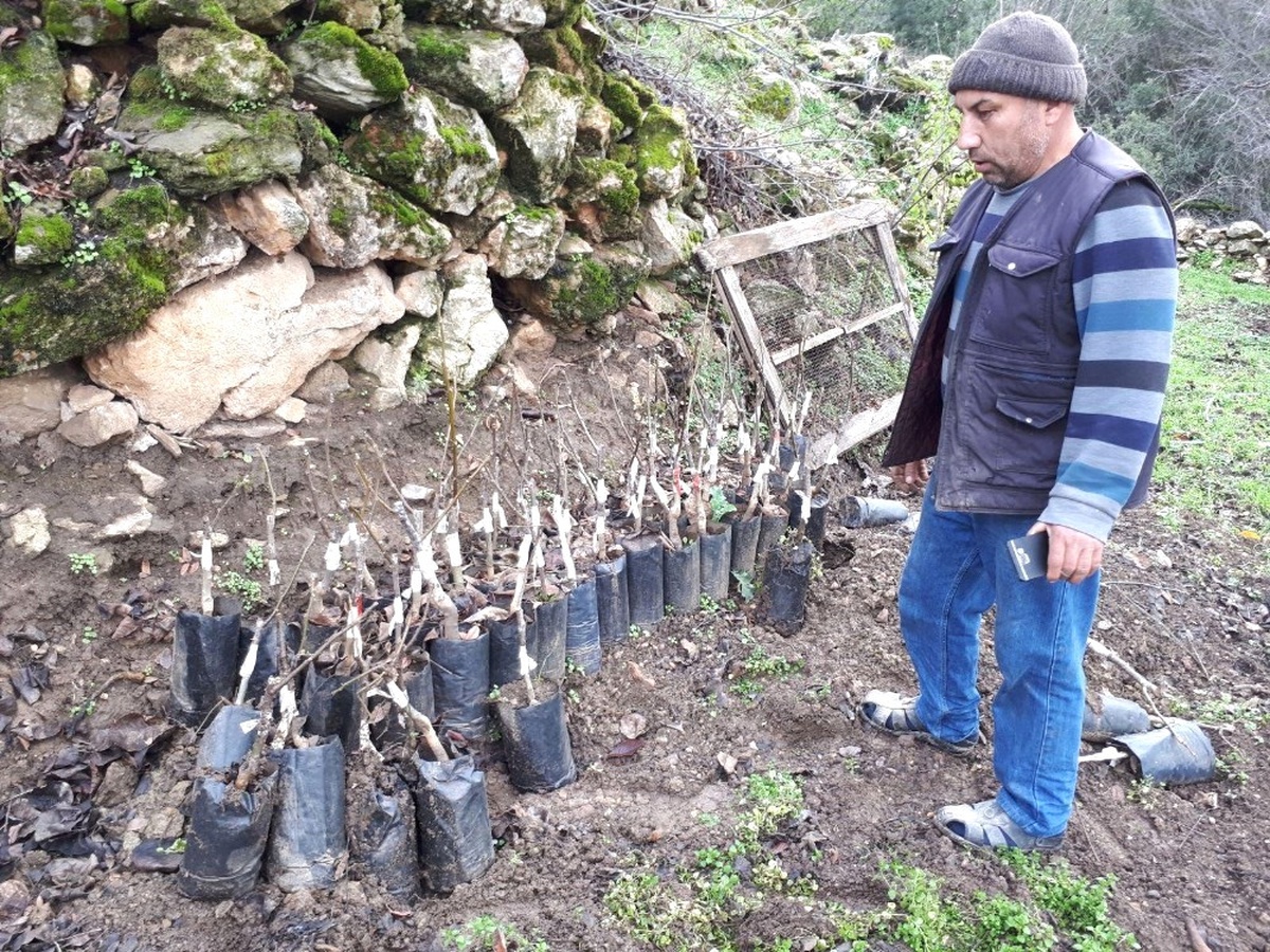 Toprakla Buluşan Fidanlara Yakın Takip