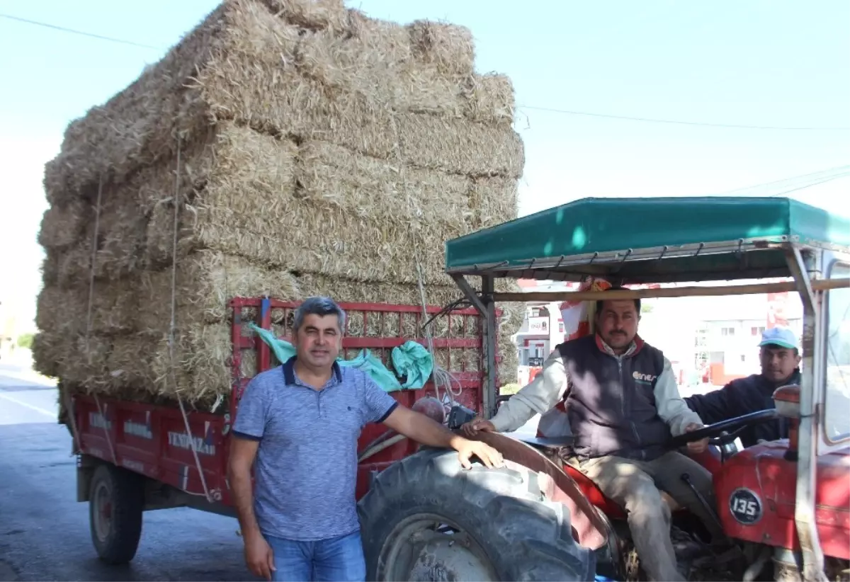 Yetiştiricinin İmdadına Mısır Samanı Yetişti